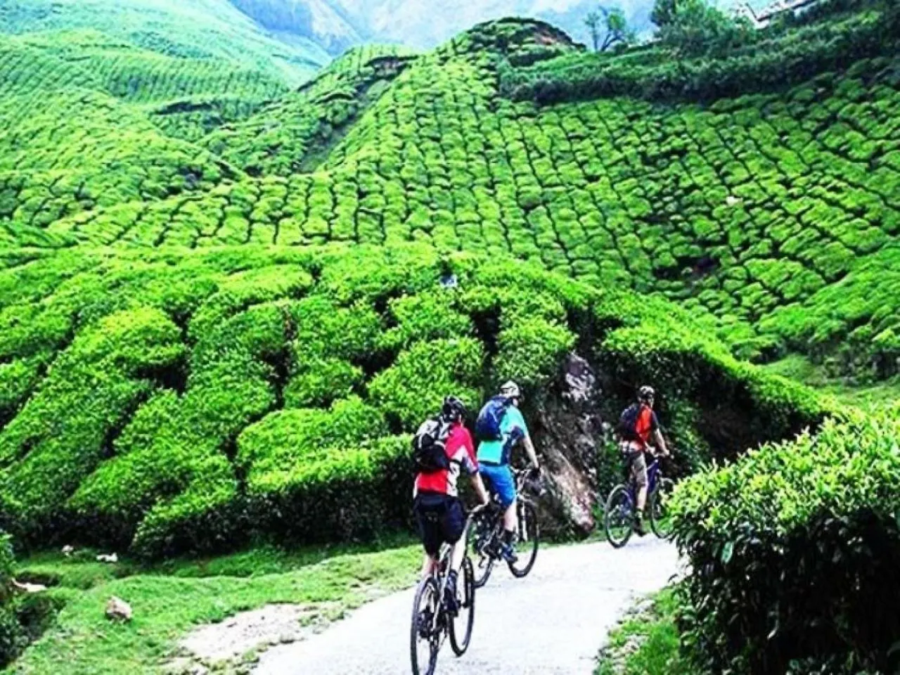 Hotel The Svarga Munnar Hill View Resort