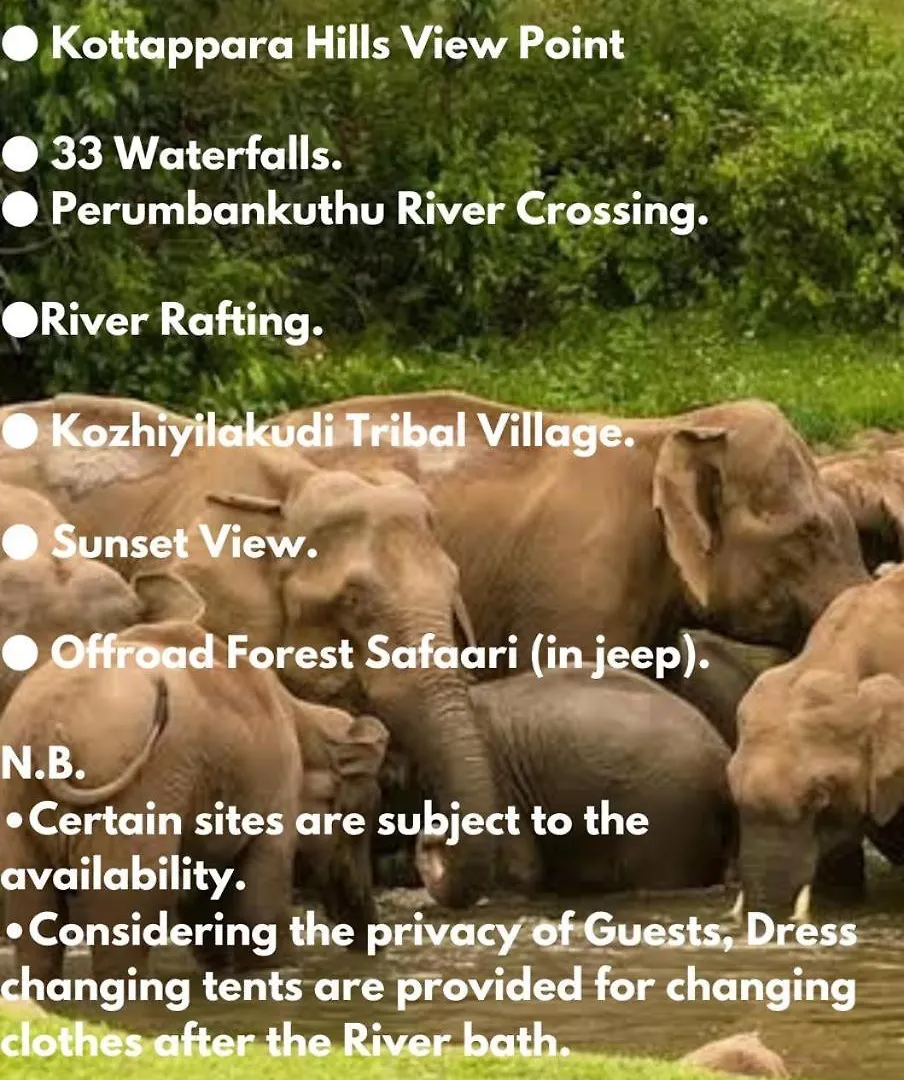 ホテル The Svarga Munnar Hill View Resort